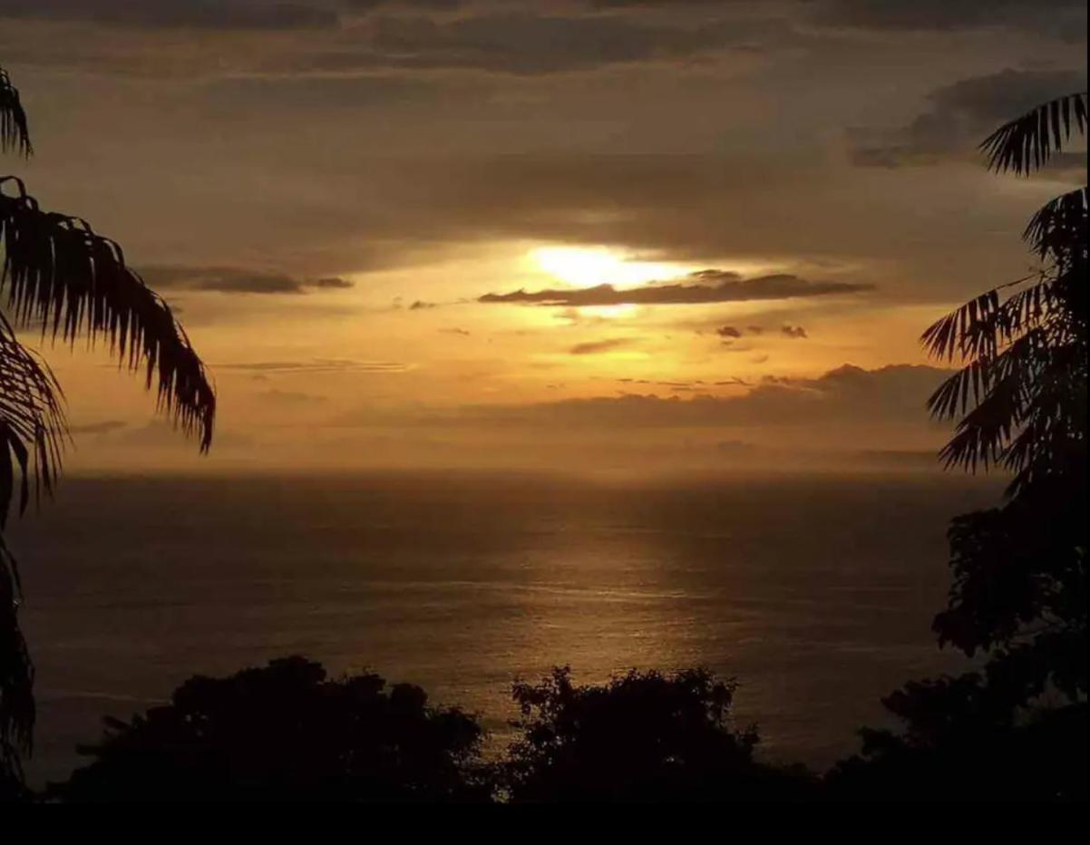 Beautiful Rustic Treehouse Hotel Manuel Antonio Quepos Exterior photo